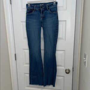 Wrangler Flare Jeans in Blue